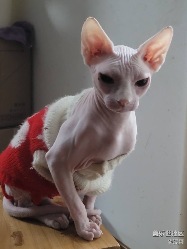 不一样的体验换屏啦 不一样的体验换屏啦