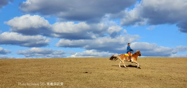 《每周星鲜事》 第54期
