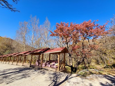 马栏林场