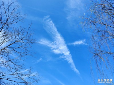 【难忘2020】+2020年的天空
