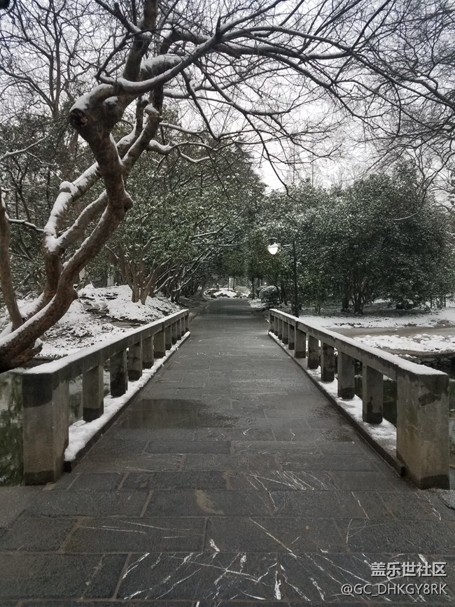 雪中逍遥津