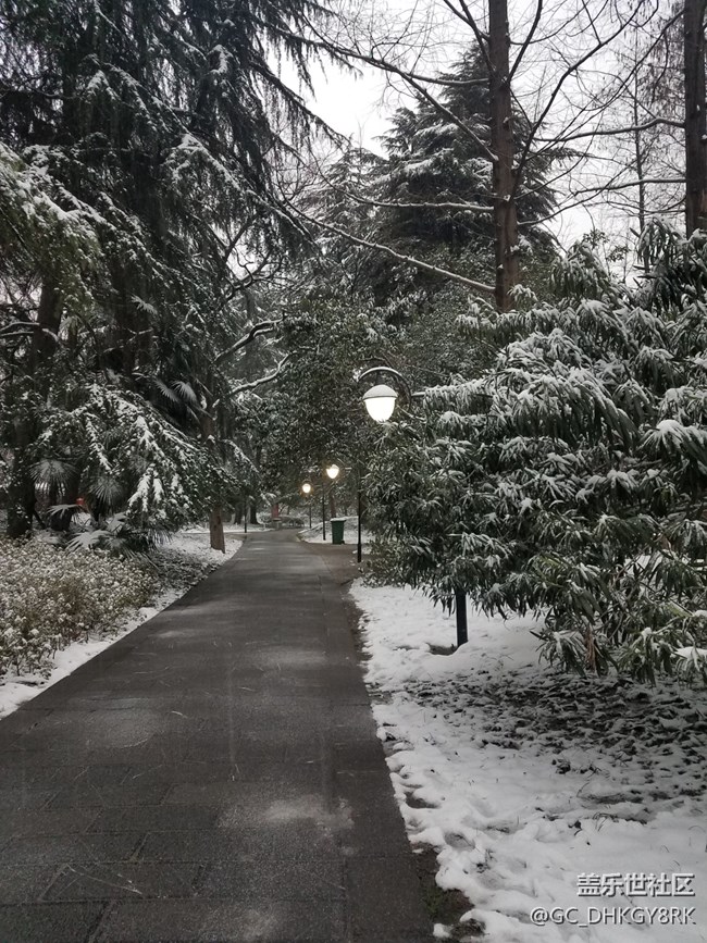 雪中逍遥津