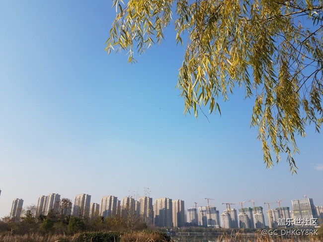 休闲公园---陶冲湖畔