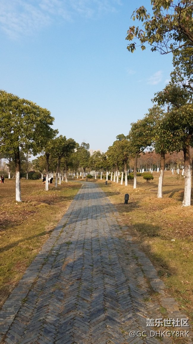 休闲公园---陶冲湖畔