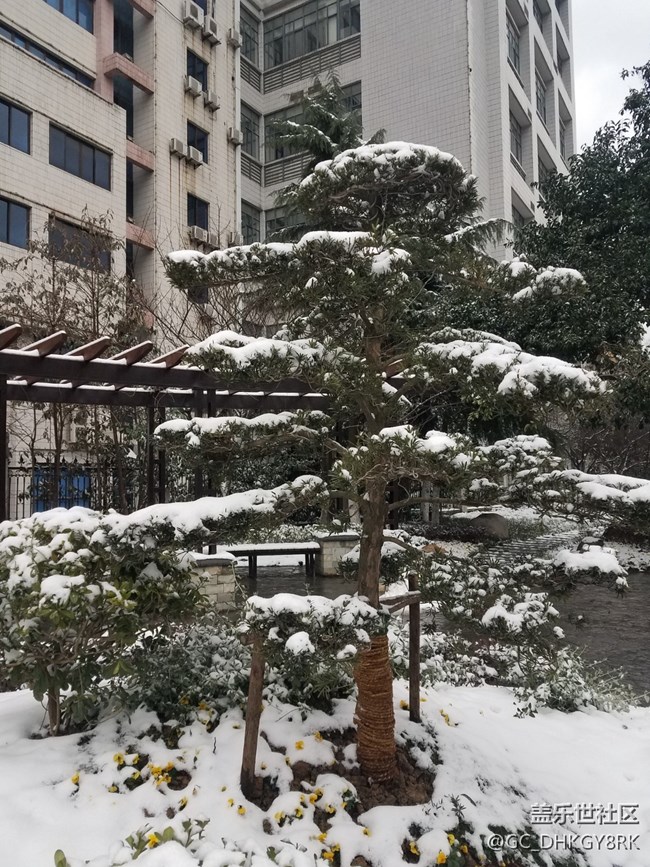 雪中生机