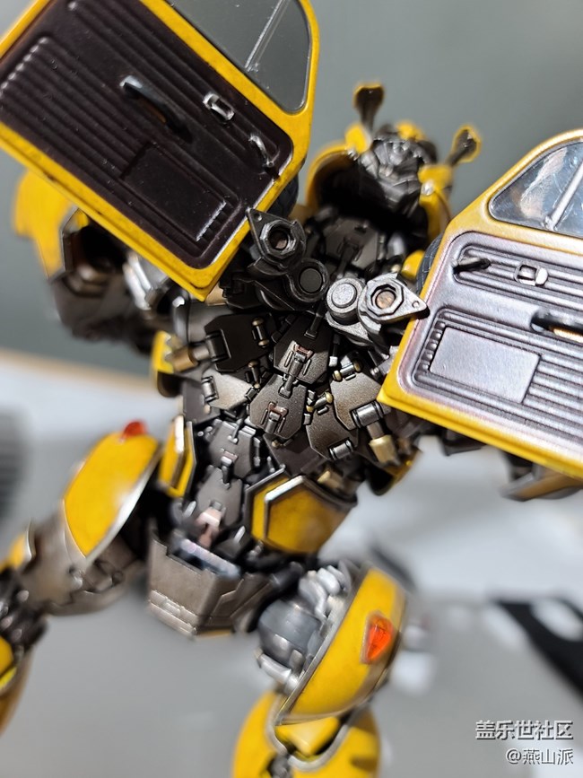 三星Galasy  S20 Ultra 这微距有点厉害啊