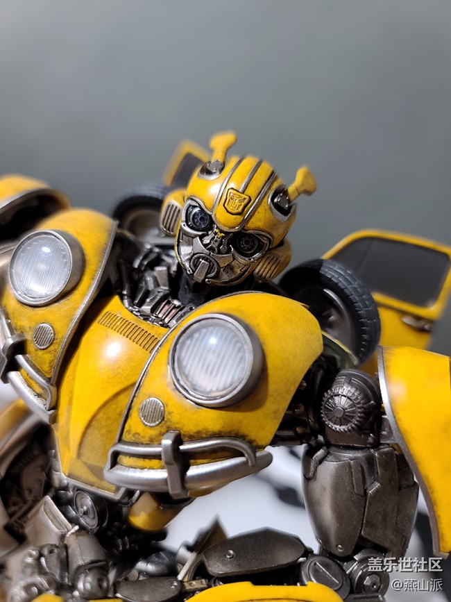 三星Galasy  S20 Ultra 这微距有点厉害啊