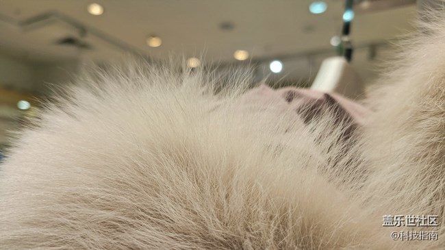 镜头下的万物：三星Galaxy S20微距下的微观画面