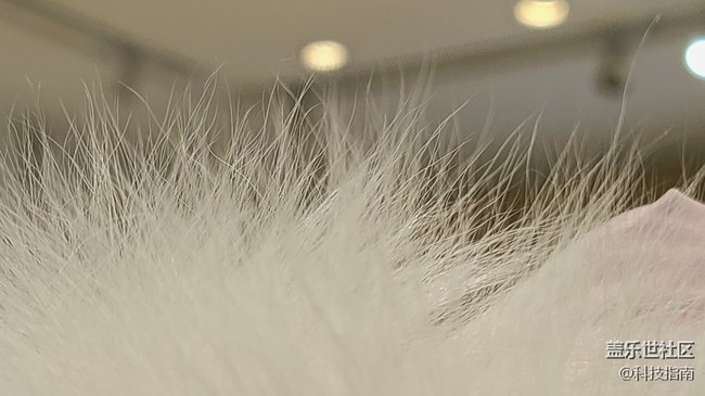 镜头下的万物：三星Galaxy S20微距下的微观画面