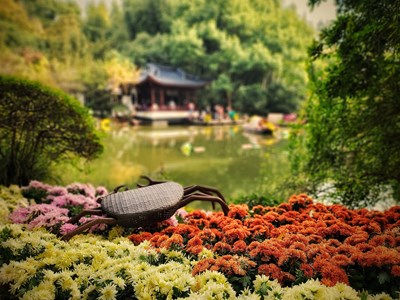 【幸福生活】+鲜花相伴