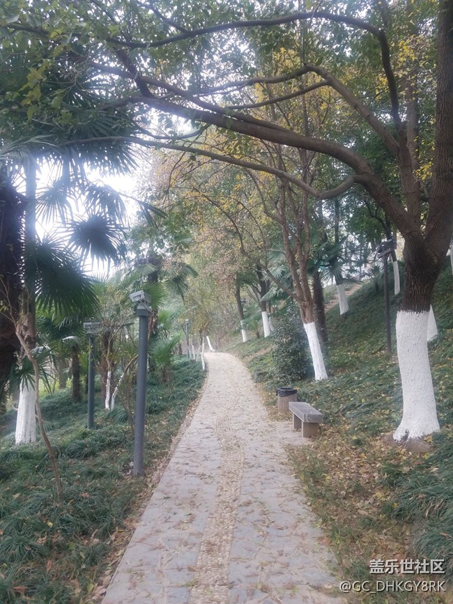 冬天的护城河边