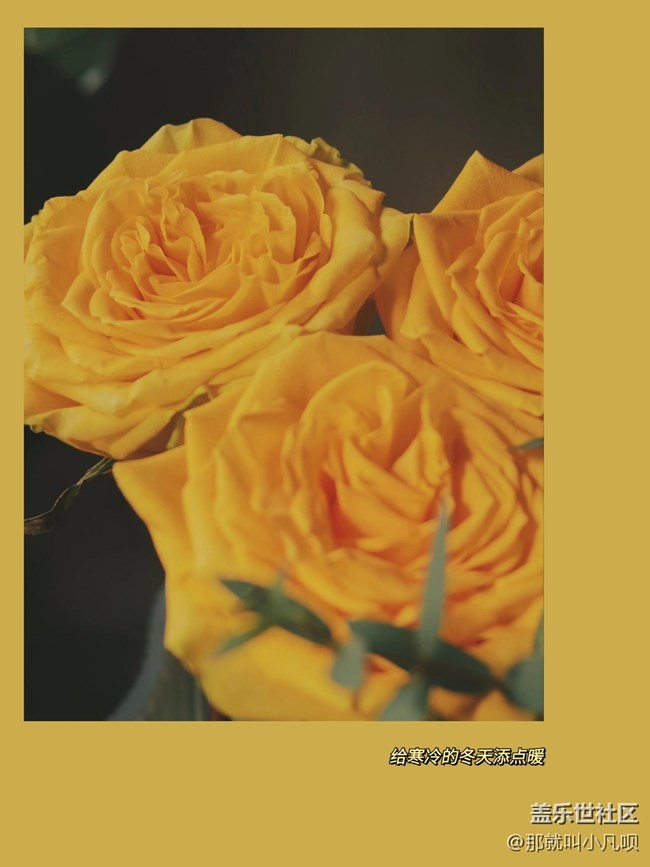 分享日常-实时虚化功能