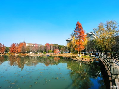 【捕捉精彩】+多彩校园