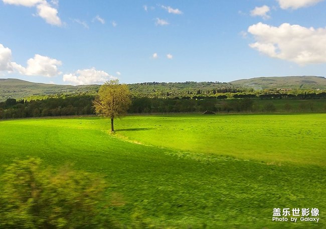 《每周星鲜事》 第54期