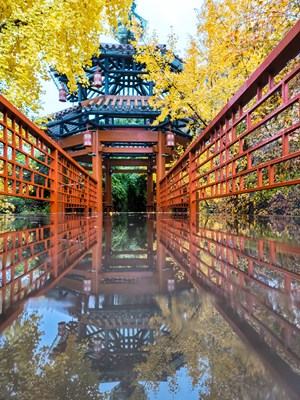 雨叶
