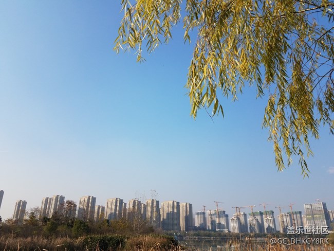 风和日丽