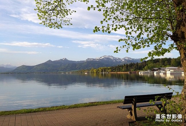 《每周星鲜事》 第54期