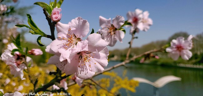 《每周星鲜事》 第54期