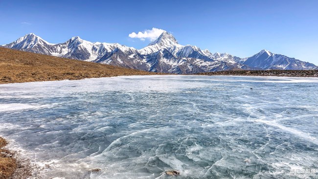 《每周星鲜事》 第54期