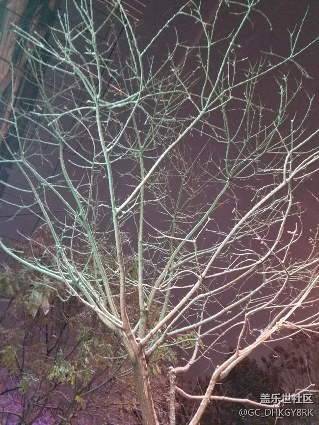 下雪了