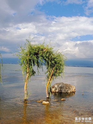 【难忘2020】云南行