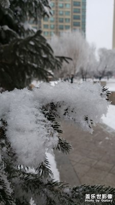 【冬日】+冰雪世界