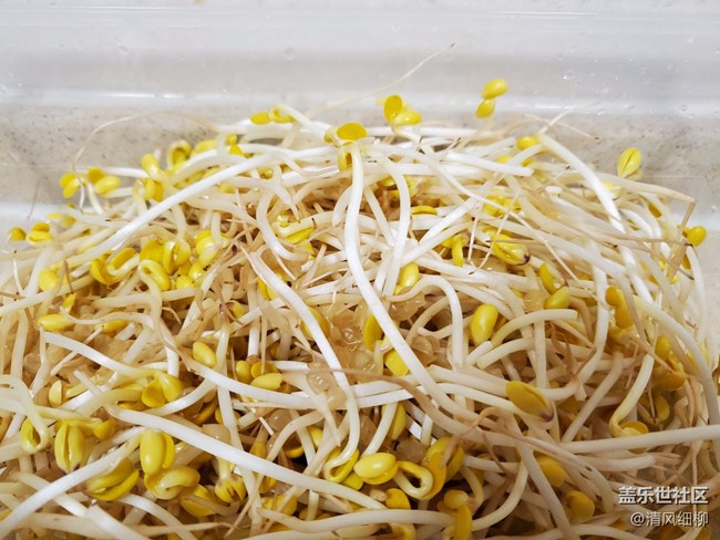『清风家常菜』+江湖大菜：毛血旺