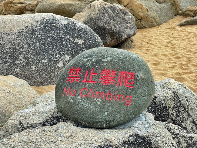 旅行路上Zflip的拍摄日常