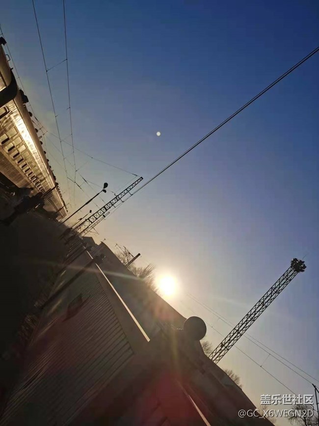 【喜迎元旦】+元旦回家