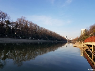 【你好2021】+太阳照常升起