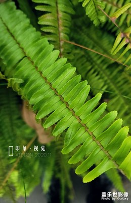 随拍