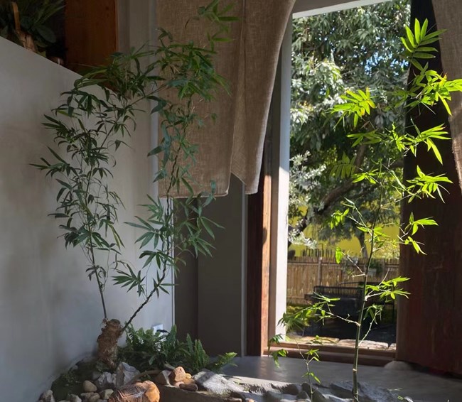 咏 朋友圈 见故人品茗栖溪茶馆 照片