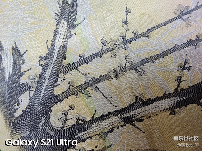 微距之间的较量，三星Galaxy S21 Ultra完胜！