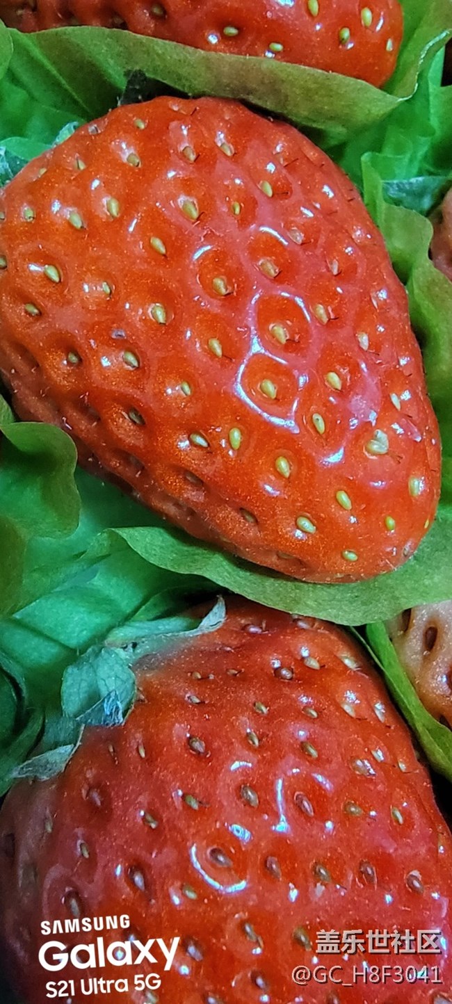 每天发贴