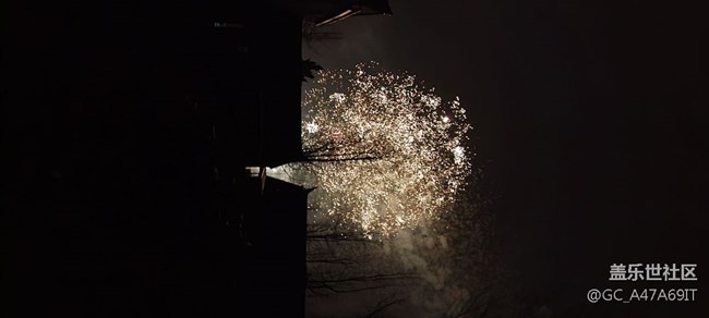 定格一瞬间，发现这才是火树银花