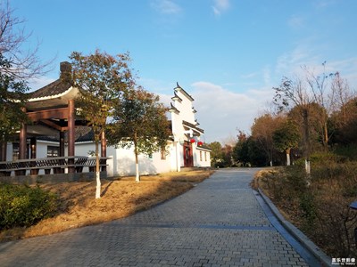 【欢度春节】散步