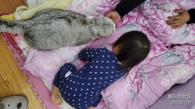 有宠物陪伴的孩子是幸福的