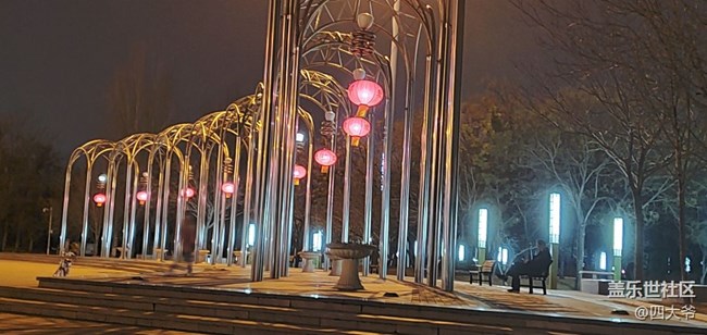 大牛拍夜景