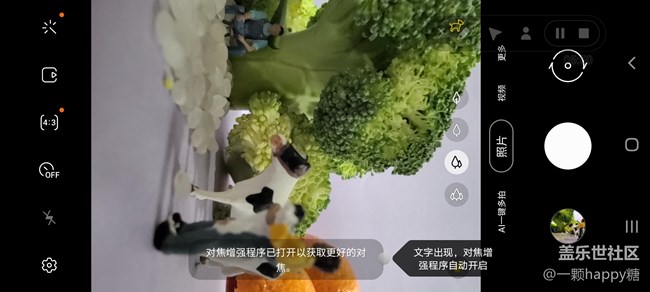 Galaxy S21 Ultra 5G:智能变焦,探索微观小世界!