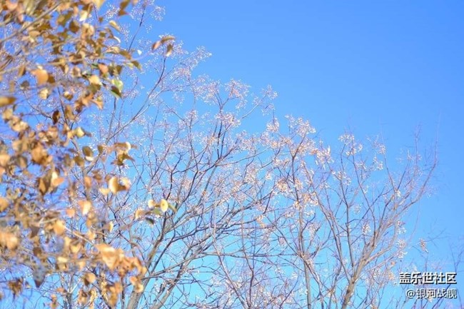 已开奖【三月第一周话题】春天来了，你想去哪里踏春游玩。