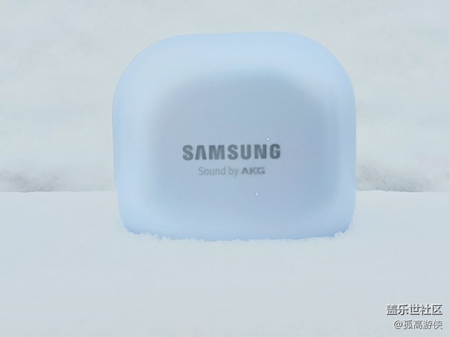 Galaxy Buds Pro美图