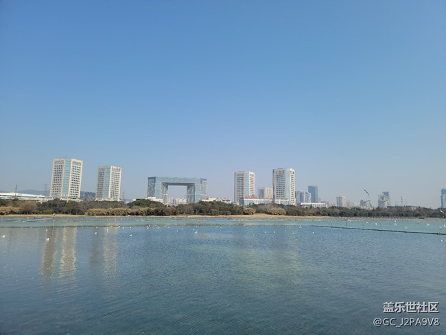 分享几张三星s21u室外亲手随拍照片