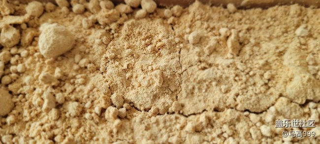 春天里的花朵！FE随拍！