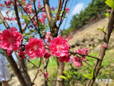 美丽钦州