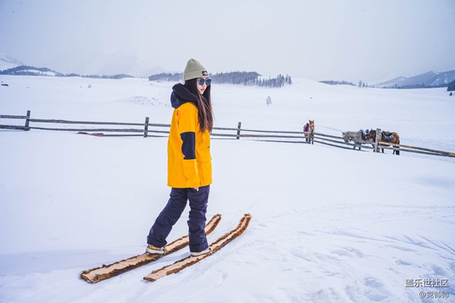 新疆探寻雪源之旅VLOG 登山滑雪初体验