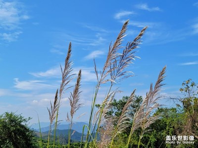 【百变天气】+风云变幻