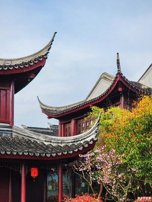 【角度与视觉 】+斜塘一角