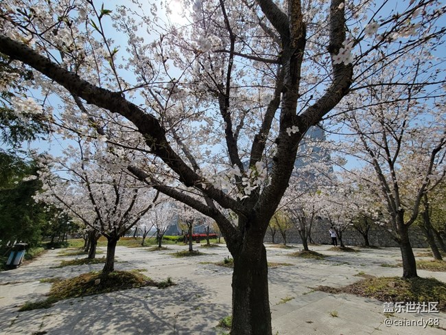 【Galaxy S21系列星粉体验团】轻薄性能续航兼备的大杯期间