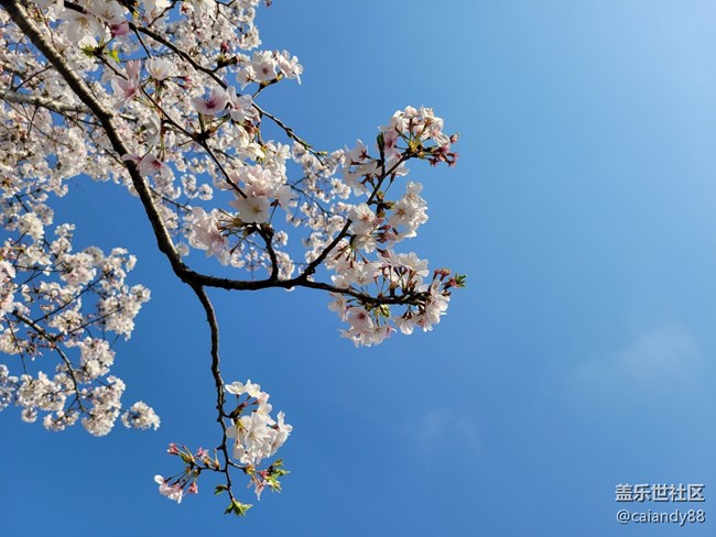 【Galaxy S21系列星粉体验团】轻薄性能续航兼备的大杯期间