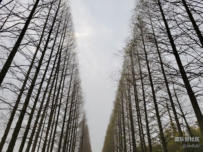 【Galaxy S21系列星粉体验团】实力不俗，更爱颜值!